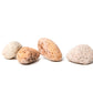 Pumice Stone