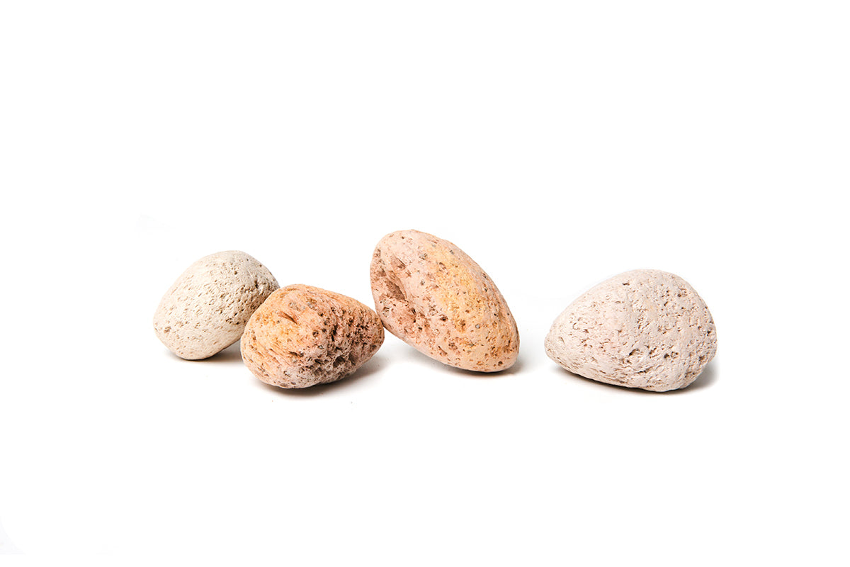 Pumice Stone